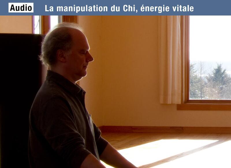 Cours AUDIO 2 - ​La circulation du Chi dans le Petit circuit